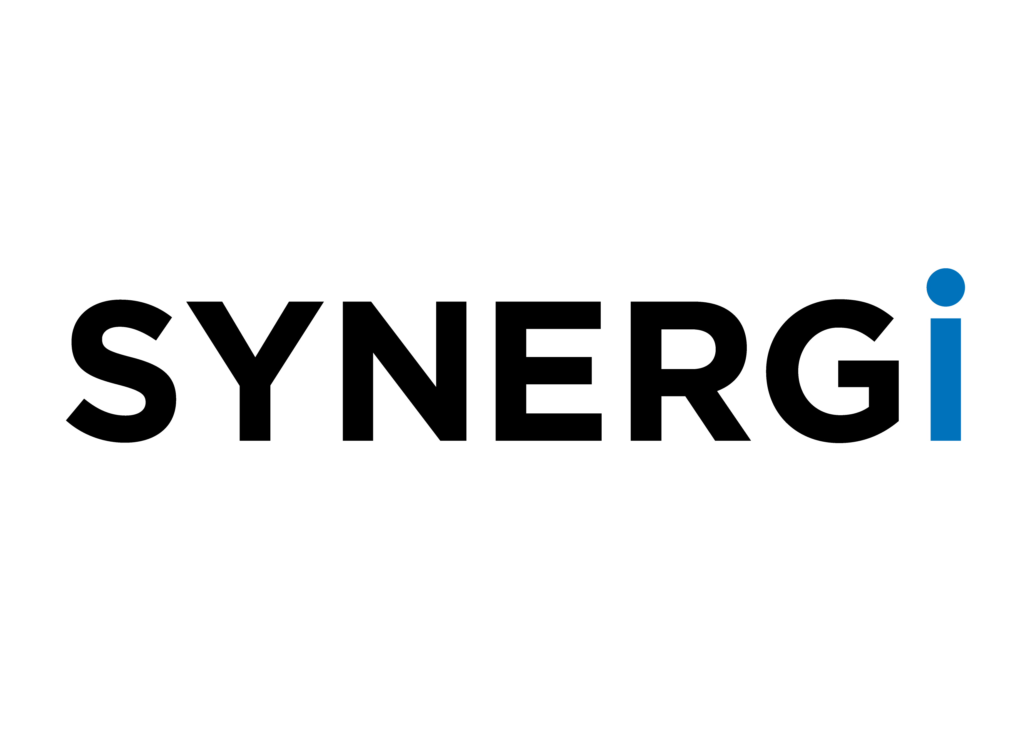 Synergi White Logo